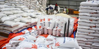 Impor Beras menuai pro dan kontra