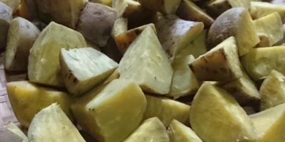 Pentingnya diversifikasi pangan untuk ketahanan pangan