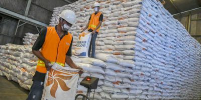 Ramai-ramai tolak impor beras