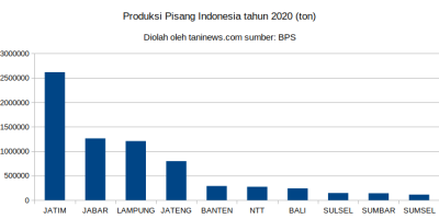 Produksi Pisang Nasional tahun 2020