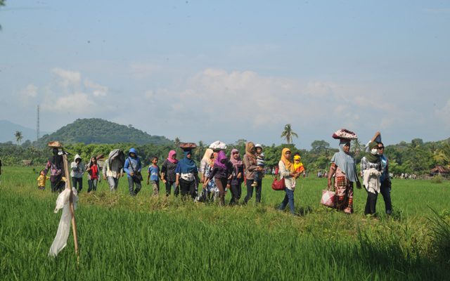 Pesta Adat Ponan di Sumbawa, doa agar panen padi melimpah