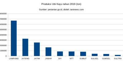 Produksi ubi kayu Indonesia tahun 2019