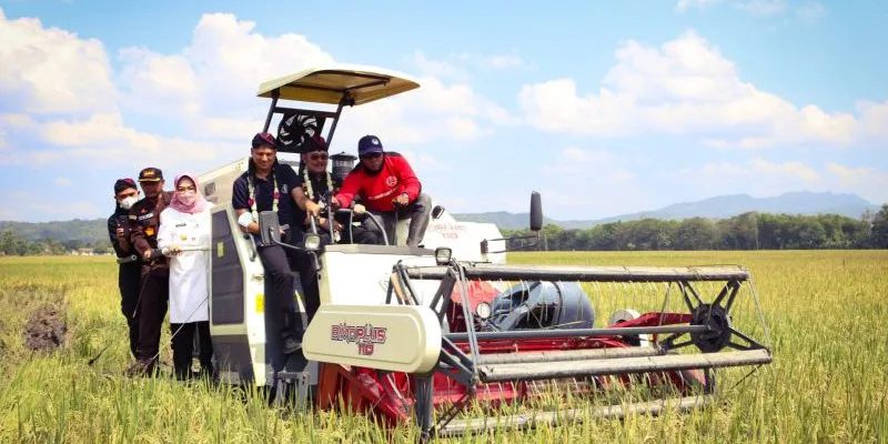 Menteri Pertanian panen raya padi IP400 di Sukoharjo