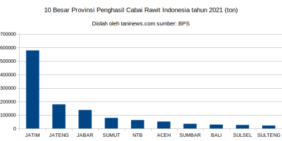 Produksi cabai rawit Indonesia tahun 2021