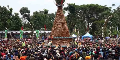 Makan durian gratis di Festival Durian KenDuren Wonosalam