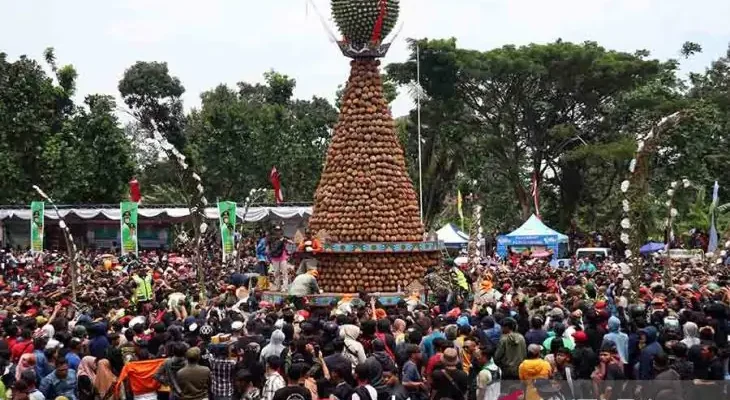 Makan durian gratis di Festival Durian KenDuren Wonosalam