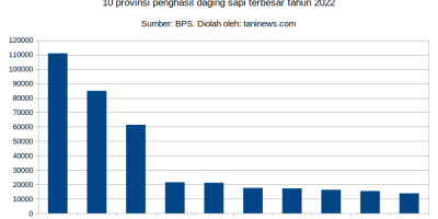 Produksi daging sapi nasional tahun 2022