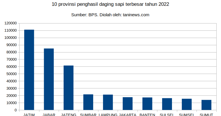Produksi daging sapi nasional tahun 2022