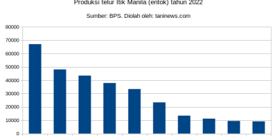 Produksi telur itik manila (entok) tahun 2022