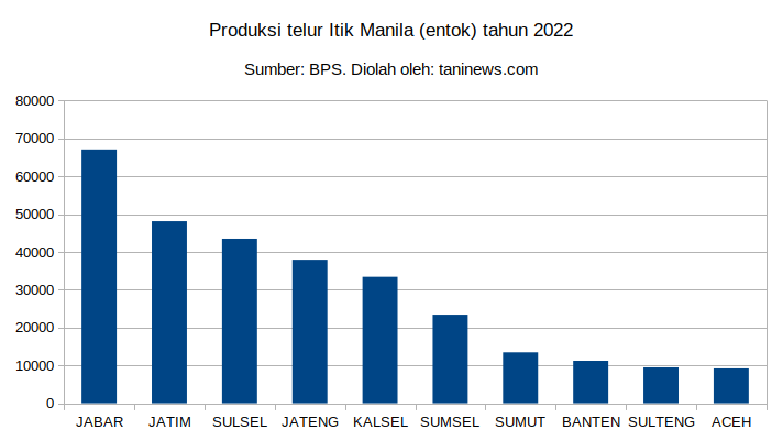 Produksi telur itik manila (entok) tahun 2022