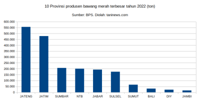 Produksi bawang merah tahun 2022